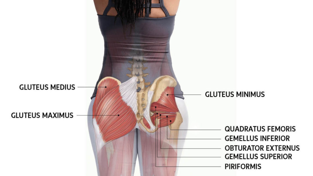 Lateral Hip Pain Causes And Treatments Explained Bassendean